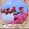 悦美的头像