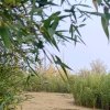 让爱回到陌生的头像