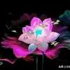 平安是福的头像