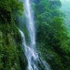 活水的头像