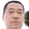 金子的头像