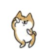 清明°的头像