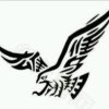 雄鹰的头像