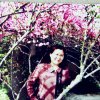 韶音的头像