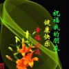 葡萄酒的头像