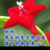 从心开始的头像