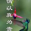 珍惜的头像