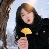 只有你的头像