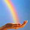 雨后彩虹的头像