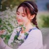 晓邢花的头像