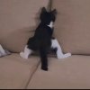雨一直下的头像