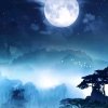 南宫杰熙老太君的头像