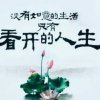 @人生路的头像