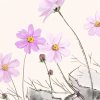陌上人的头像