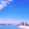 平安的头像