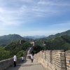 夏天的味道的头像