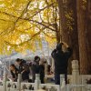 云轩【虎啸队主唱】的头像