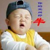 爱相随的头像