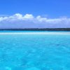 海阔天空的头像