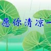 真实的头像