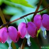芬子的头像
