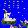 旭日的头像