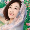 春兰秋菊的头像