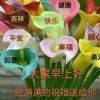 吴玉英的头像