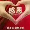 狼少的头像