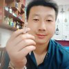 西北狼的头像