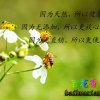 与蜂共舞的头像