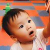 wjpyzc的头像