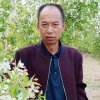山山水水的头像