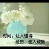 简单的人生的头像