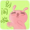 念的头像