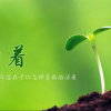 兰花花的头像