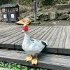 海洁的头像