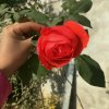 今生＊无缘的头像