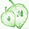 梅兰竹菊的头像