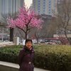 小太阳英[歌手]忙暂停的头像