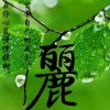 巧克力（暂退）的头像