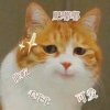 二二的头像