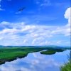 海浪中音的头像