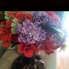 美丽的花朵的头像