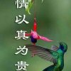 标签的头像