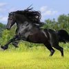 川晋【暂离】的头像