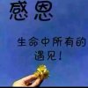 静❥心的头像