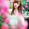 夏日清菏&的头像