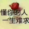 龙凤吉祥的头像