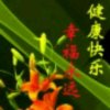 红米红米的头像